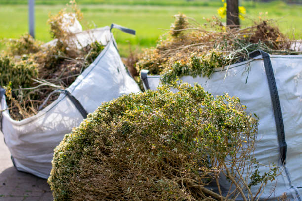 Best Yard Waste Removal  in Yorkshire, VA